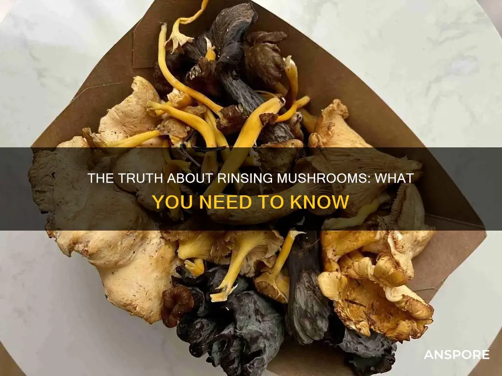 why not rinse mushrooms