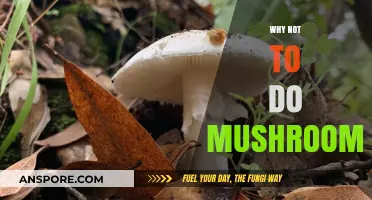 Mushrooms: A Dangerous Trip to Avoid