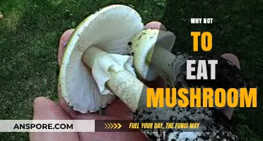 Avoid Mushrooms: Hidden Dangers and Health Risks Explained