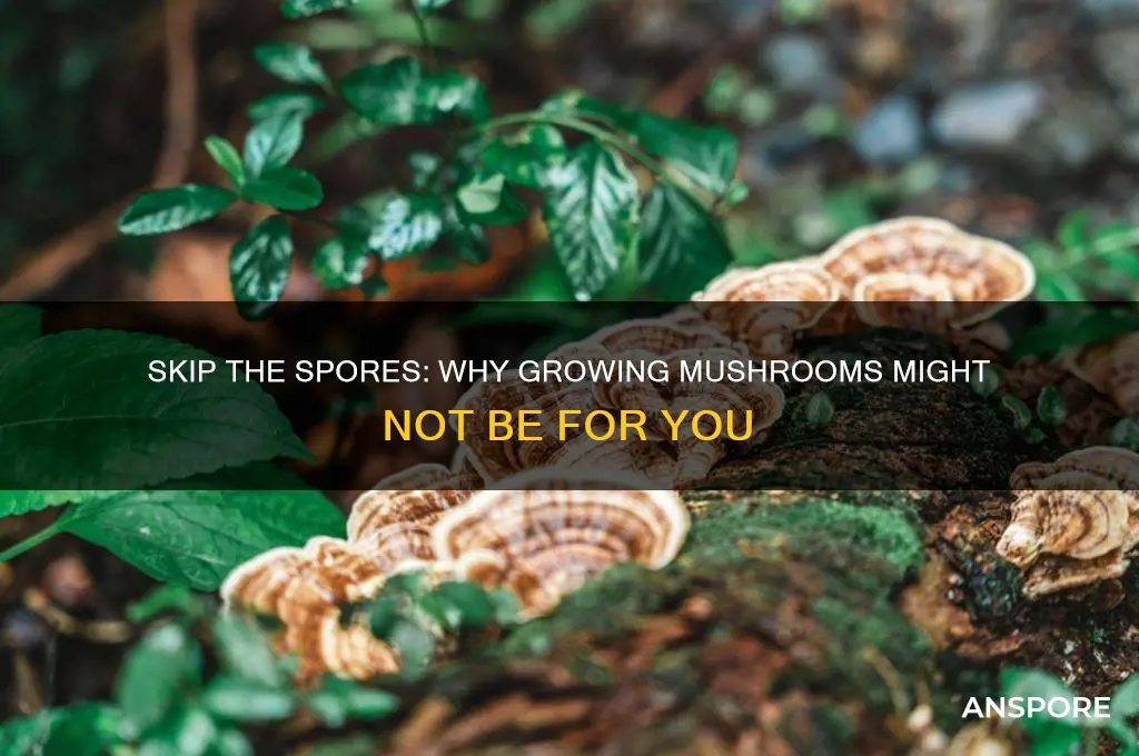 why not to grow mushrooms