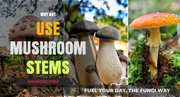 Skip the Stems: Why Mushroom Bases Aren't Always Edible