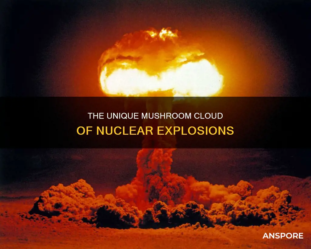 why nuclear bomb mushroom shaped