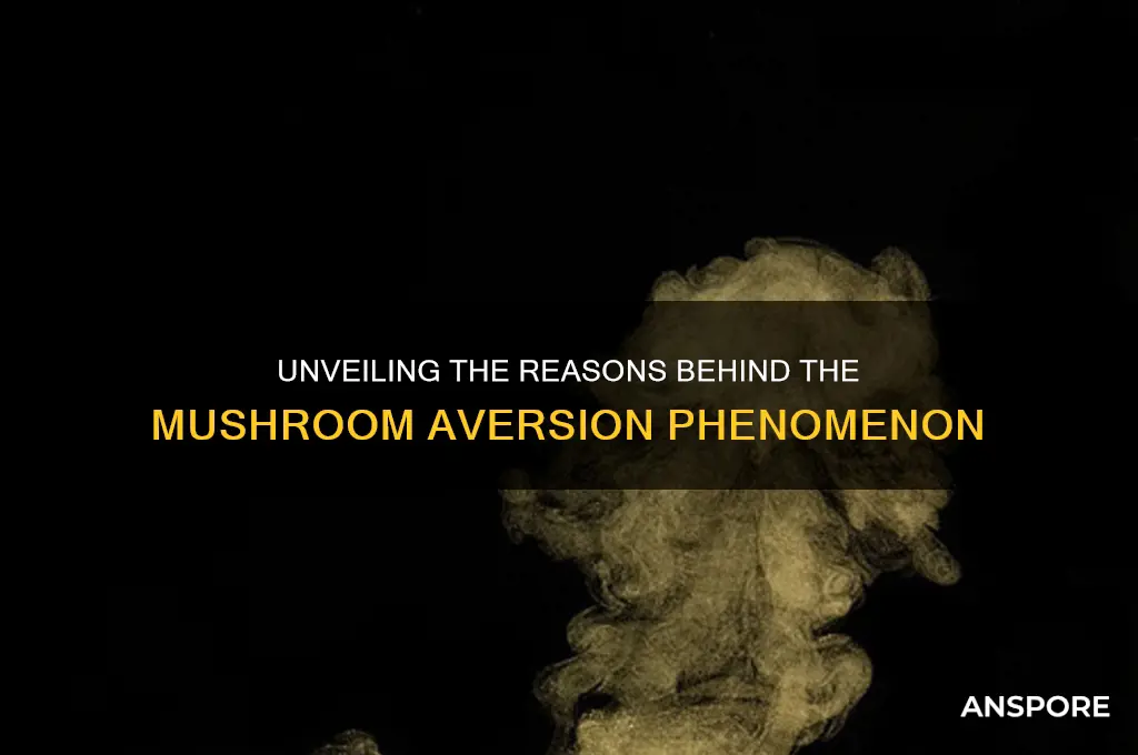 why people don t eat mushroom