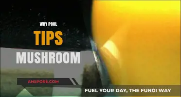 Pool Tips Mushroom: Why and How to Prevent It