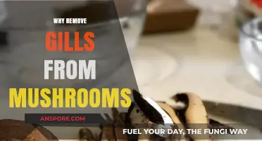 Removing Mushroom Gills: Why It's Necessary