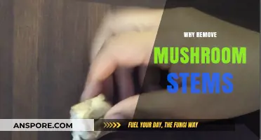 Removing Mushroom Stems: The Secret to Perfect Fungi