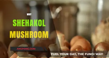 Mushroom Magic: Shehakol's Superfood Status