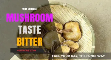 Shiitake Mushrooms: Why They Taste Bitter