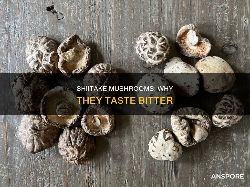 why shiitake mushroom taste bitter