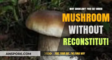Avoid Eating Dried Mushrooms Without Reconstituting: Risks and Reasons