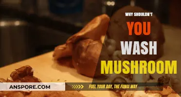 Skip the Sink: Why Washing Mushrooms Ruins Their Texture and Flavor