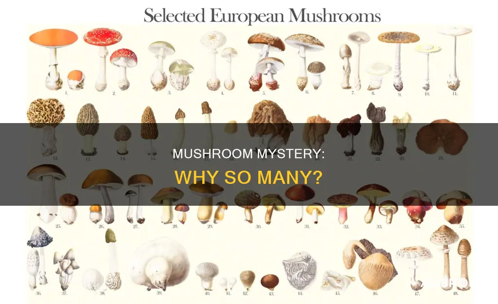 why so many mushrooms