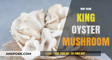 Unlocking King Oyster Mushrooms' Secrets: Soaking for Success