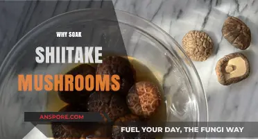 Shiitake Soaking: Unlocking Umami and Tenderizing Treats