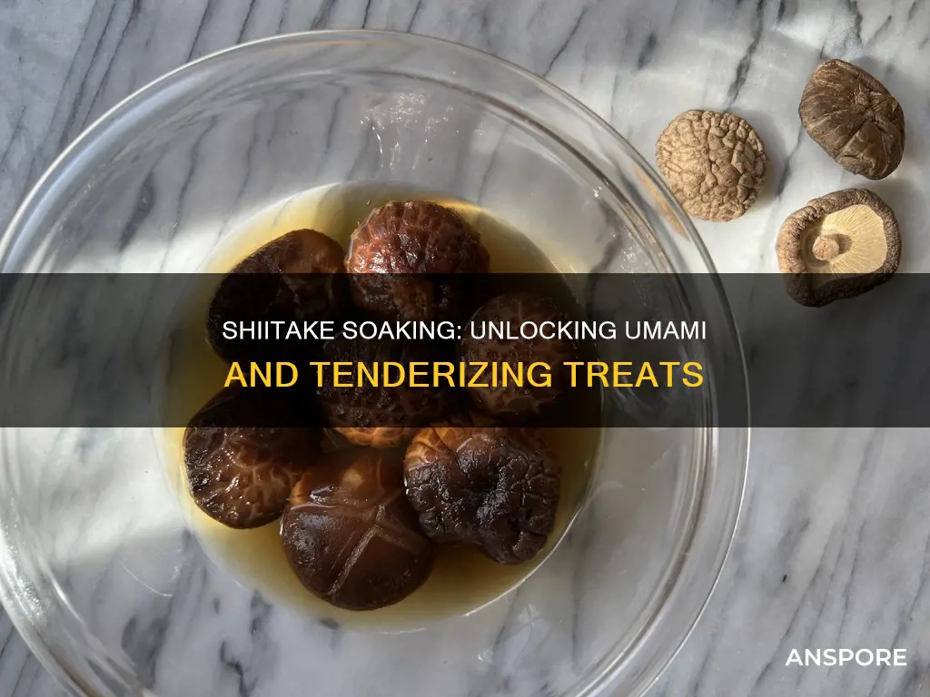 why soak shiitake mushrooms