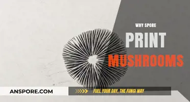 Spore Printing: Preserving Mushroom Genetics for Future Cultivation