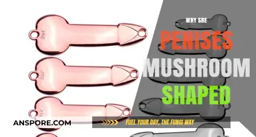 The Evolution of Mushroom-Shaped Penises Explained