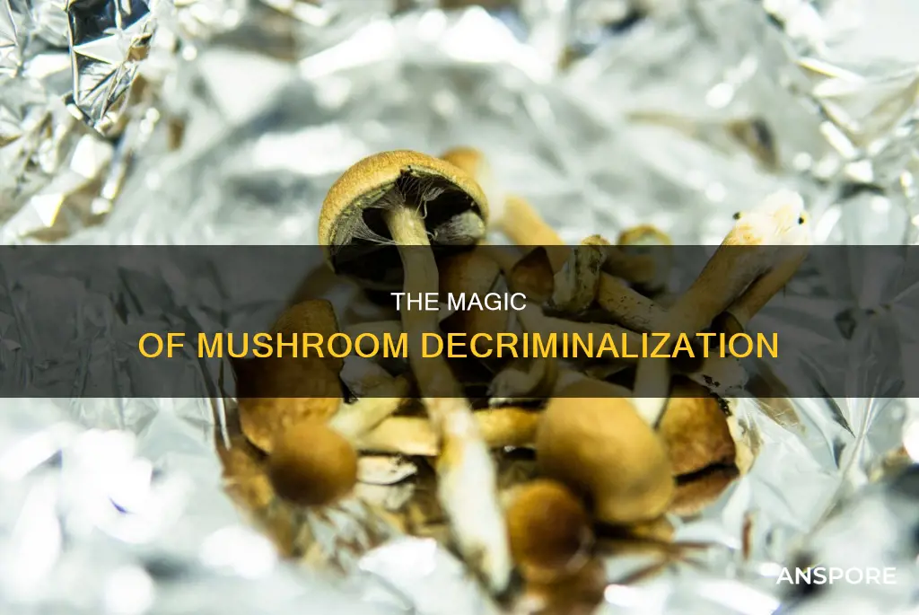 why the decriminalization of mushrooms