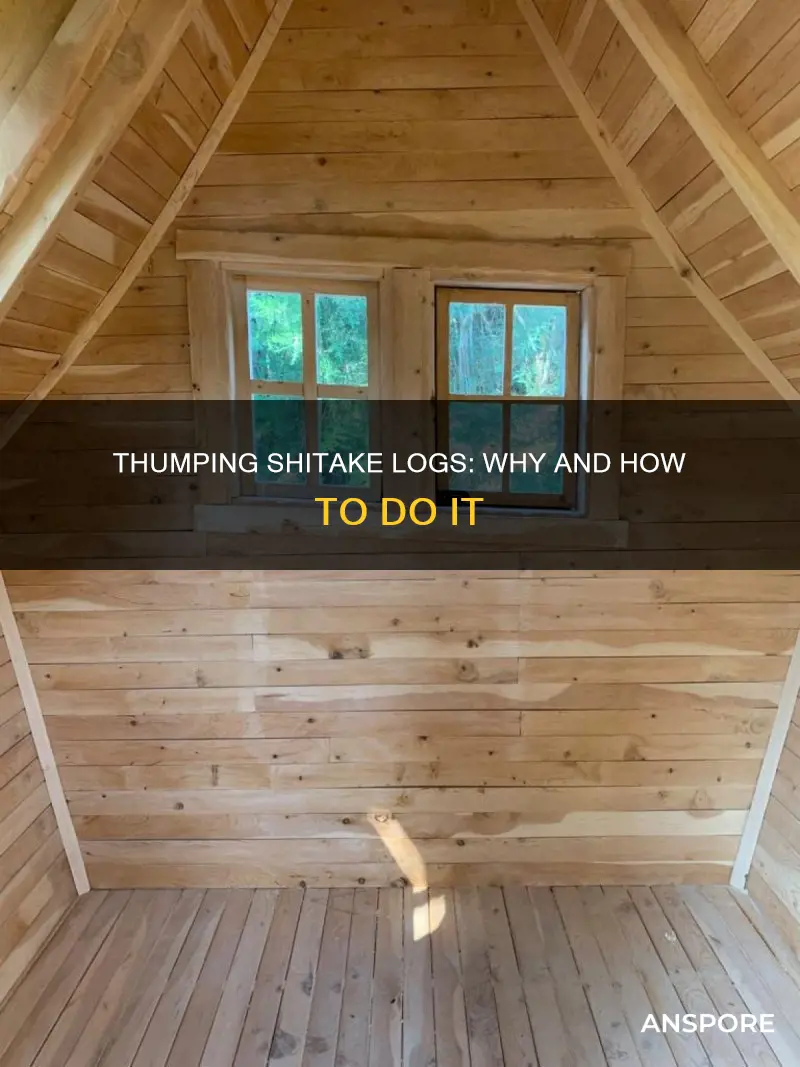 why thump shitake mushroom logs