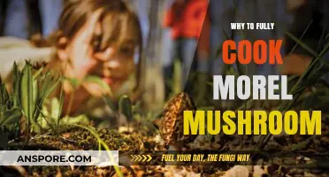 Fully Cook Morel Mushrooms: Essential Tips for Safe and Delicious Meals
