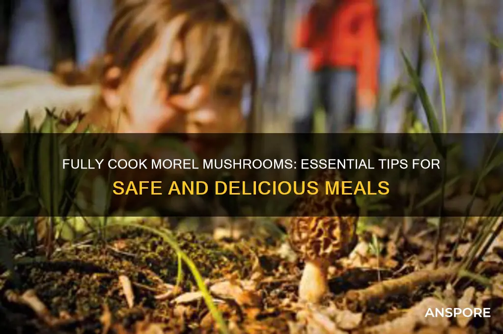why to fully cook morel mushrooms