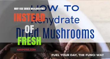 Dried Mushrooms: Unlocking Flavor, Convenience, and Longevity Over Fresh Varieties