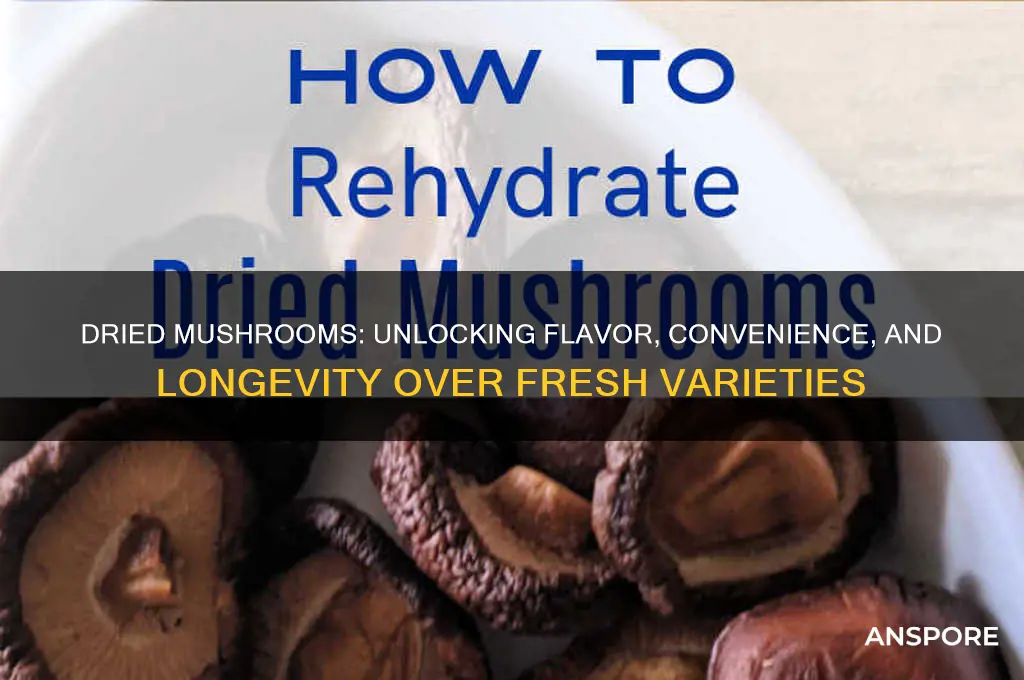 why use dried mushrooms instead of fresh