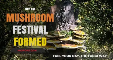 Mushroom Festival: Celebrating Fungi's Rich History
