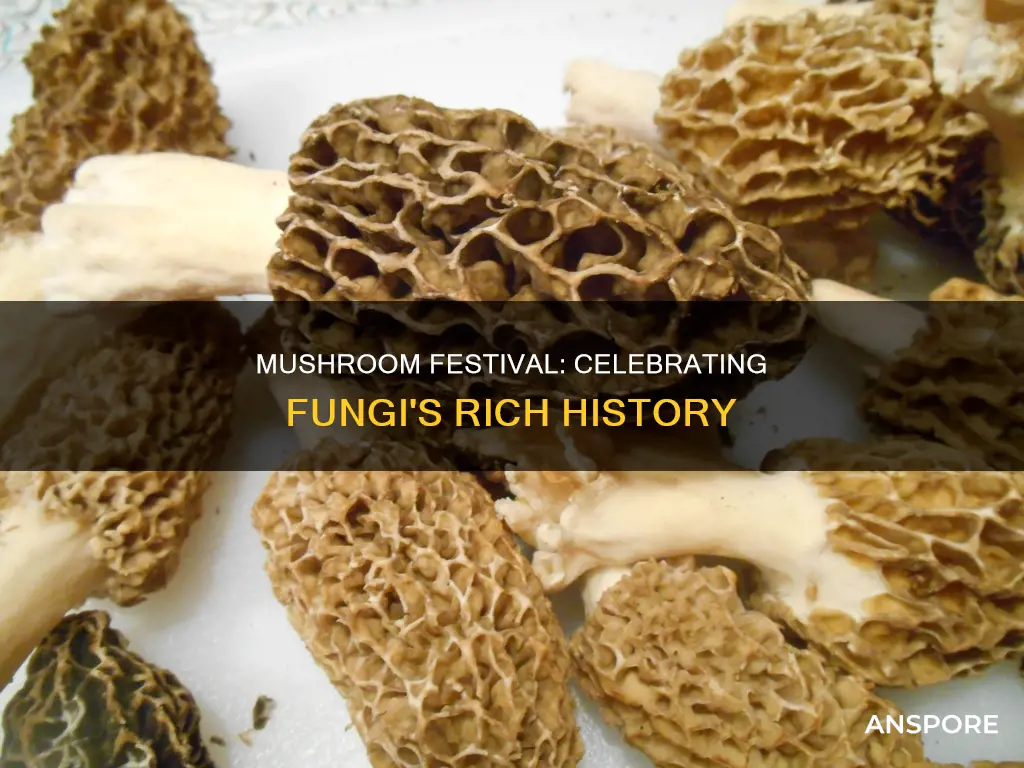 why was mushroom festival formed