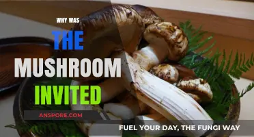 Fun Fact: Why the Mushroom Was Invited
