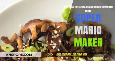 Shitake Mushroom's Absence in Super Mario Maker: Uncovering the Reason