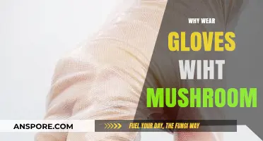 Protect Your Hands: Gloves and Mushroom Foraging