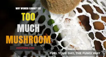 Mushroom Moderation: Why Women Should Limit Their Intake