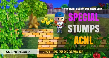 Troubleshooting Mushroom Growth on Special Stumps in ACNL: Tips and Tricks