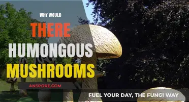 Gigantic Fungi: Nature's Marvels and Mysteries