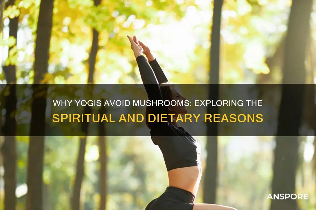 why yogis don t eat mushroom