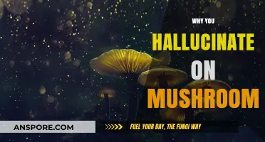 Hallucinating on Mushrooms: A Trippy Brain Adventure