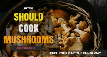 Discover the Health Benefits and Culinary Magic of Cooking Mushrooms