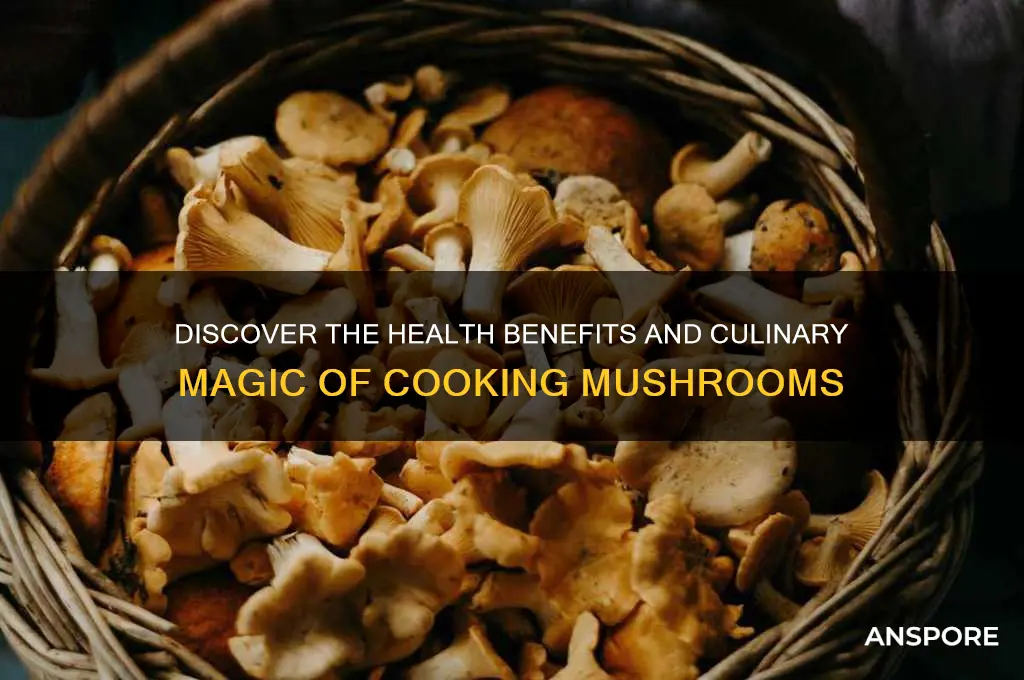 why you should cook mushrooms