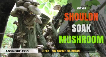 Mushrooms: Why Soaking is a Bad Idea