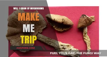 Can a Single Gram of Mushrooms Induce a Psychedelic Trip?