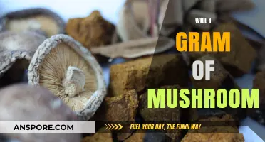 Tripping on a Gram of Shrooms: Is It Enough?