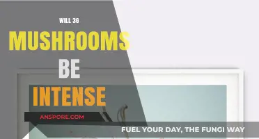 Tripping Hard: The Intense World of 3G Mushrooms