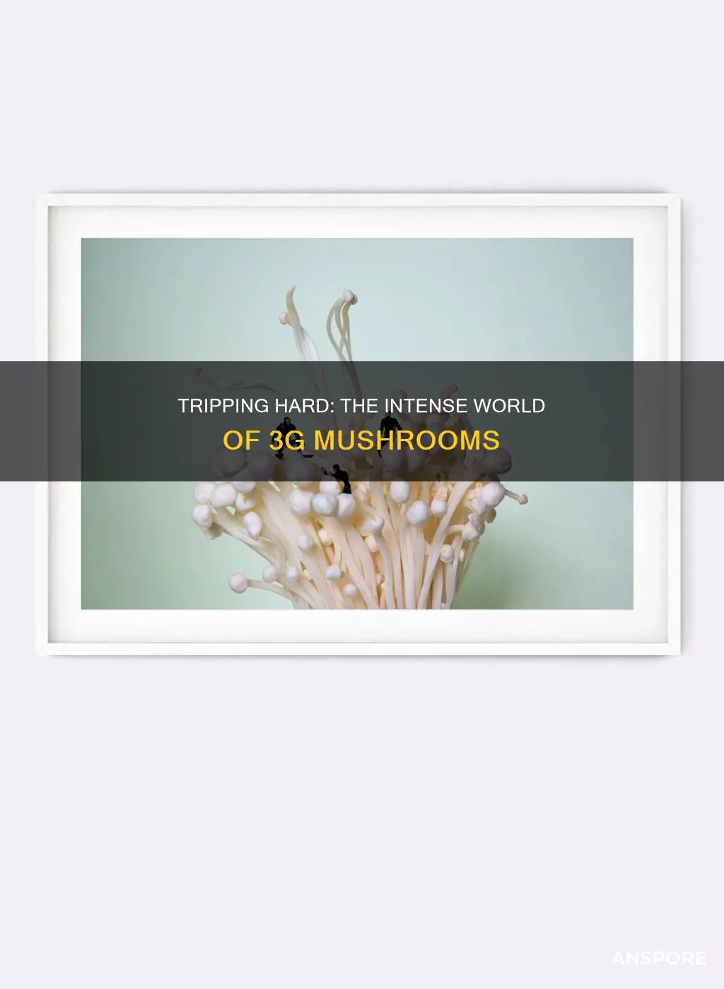 will 3g mushrooms be intense