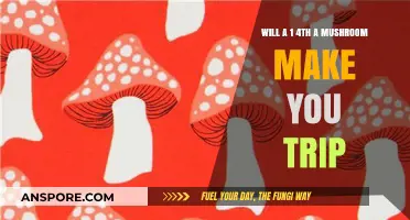 Can a Quarter Mushroom Dose Induce a Psychedelic Trip?