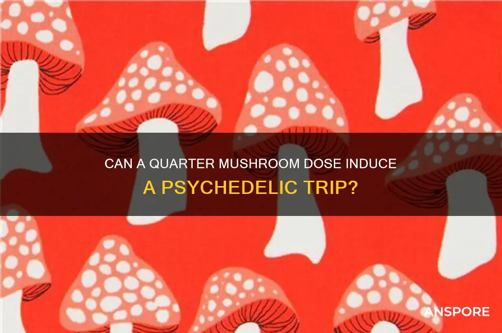 will a 1 4th a mushroom make you trip