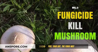 Fungicide vs Mushrooms: What's the Outcome?