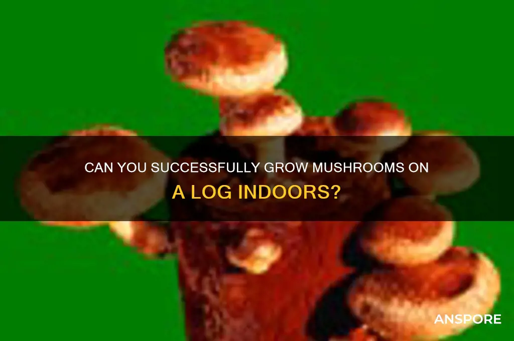 will a mushroom log grow in a house