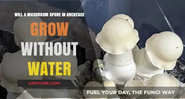Can ArcheAge Mushroom Spores Thrive Without Water? Exploring Growth Conditions
