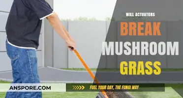 Actuators and Mushroom Grass: A Risky Relationship?